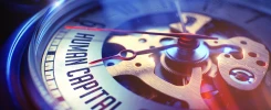 Entelektüel Sermaye Nedir?