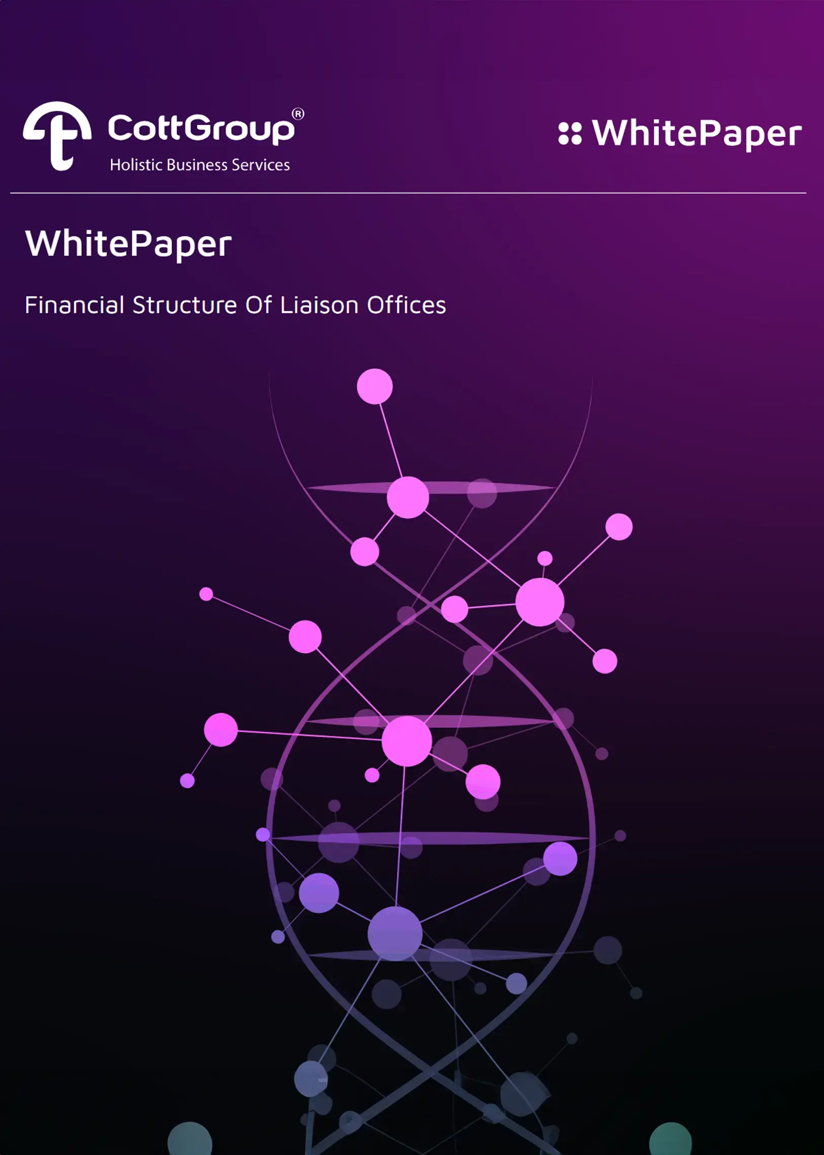 Financial Structure of Liaison Offices in Turkiye